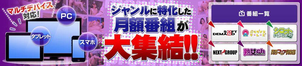 DUGA AV見放題コース